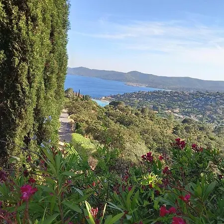 Vue Panoramique Exceptionnelle Le Lavandou